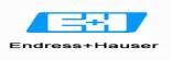 Endress + Hausen